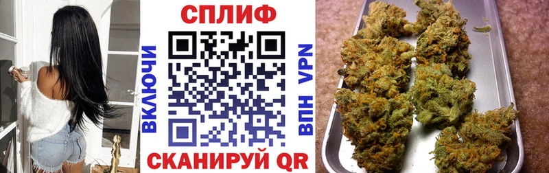 блэк спрут ссылка Боготол Бошки марихуана планчик